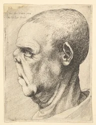Groteskní stařec se zploštělým nosem z levého profilu, 1625-77