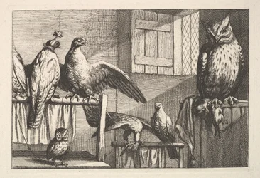 Jestřábi a sovy, 1625-77.