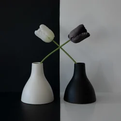 Rovnováha černých a bílých tulipánů
