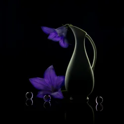 Fialové květy – temná elegance