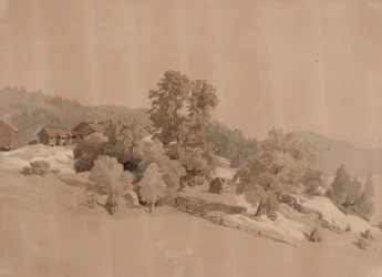Letní krajina