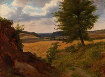 Strom v polní krajině, studie