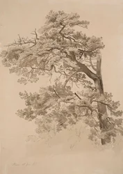 Bez názvu