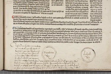 Fol 54 recto, detail, Metadata