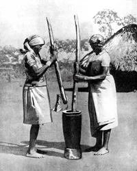 Dvě ženy z kmene Mashona mlátící kukuřici a proso, Zimbabwe, Afrika, 1936.