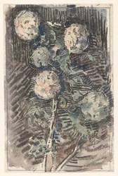 Větev s bílými květy