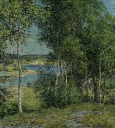 Rodina břízy, 1907.