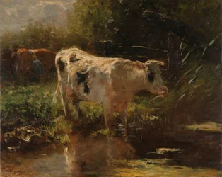 Kráva vedle příkopu Kráva na straně příkopu
