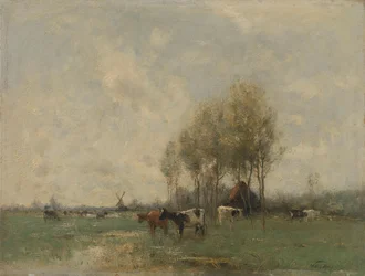 Louka s kravami