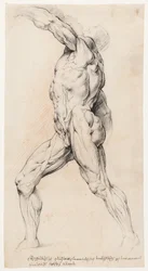 Anatomická studie (écorché)