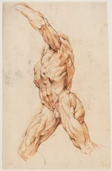 Anatomická studie (écorchés). Kráčející muž stažený z kůže se otočil doleva