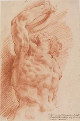 Laocoon. Laocoonovo torzo je vidět zespodu zprava.