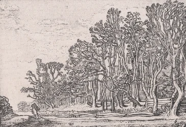 Dva živé ploty z prken, z Verscheyden Landtschapjes Různé malé krajiny, deska 6,..., ca. 1616.