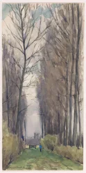 Avenue s vysokými stromy