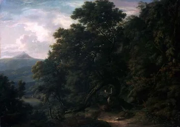 Pohled na Powerscourt Demesne (olej na plátně)