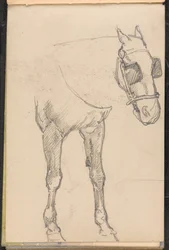 Náčrt koně s blinkry, cca 1879