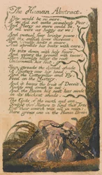 Songs of Innocence and of Experience, deska 46, "The Human Abstract" (Bentley 47)