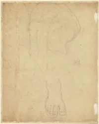 Torzo Belvedere [verso]