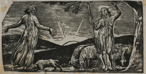 Thenot Remonstrates with Colinet, z The Pastorals of Virgil