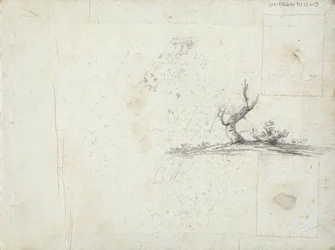 vnitřní přední strana obálky: Sketch of a Tree (obrácená)