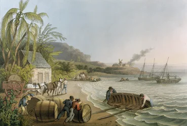 Přeprava a nakládání cukrových sudů na palubu, tabule X z „Deseti pohledů na ostrov Antigua“, vydal W. Clark, Londýn, 1823