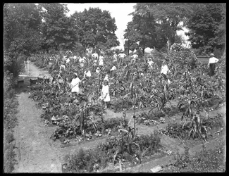 Děti pracující ve školní zahradě Isham Park, New York City, 16. srpna 1915
