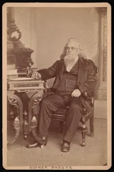 Portrét Sidney Breese 1800-1878, před rokem 1878.