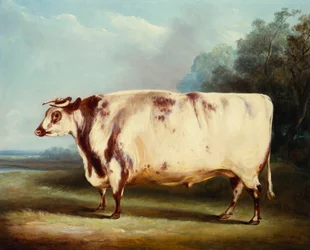 Cena Bull, 1839
