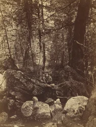 Stezka ve West Gallatin Cañon, c. 70. léta 19. století.