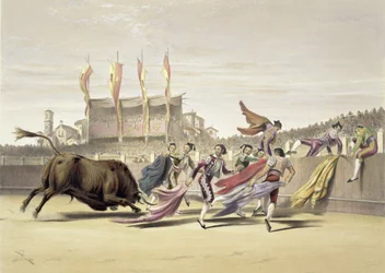 Chulos hrající na býka, 1865