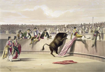 Býk přeskakující bariéry, 1865