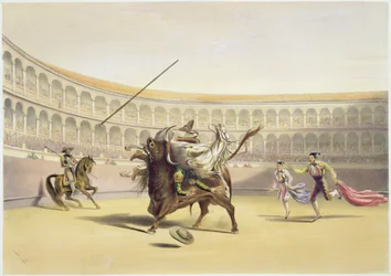 Býk hází Picadorem a koněm, 1865