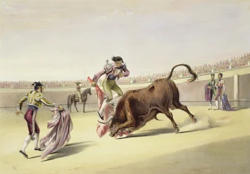 Skok nebo skok za rohy, 1865