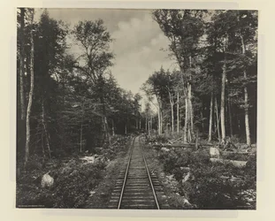 Ganga Lake Branch, L.V.R.R., K. 1899 (Platinum Print)