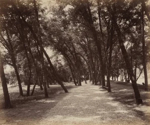Pikniková hřiště,c. 1895 (foto)