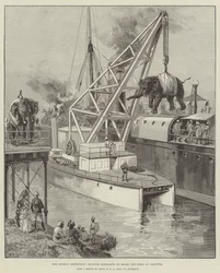 Expedice Looshai, přeprava slonů na palubě Simly v Kalkatě