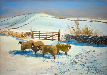 Sníh v Yorkshire Dales (ropa na palubě)