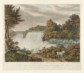 Niagarské vodopády. Thomasu Dixonovi Esq. je uctivě věnován tento pohled na americký vodopád, pořízený z Goat Island