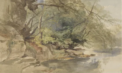 Tvář v Stapleton Wood poblíž Bristolu