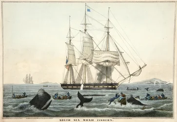 South Sea Whale Fishery, hospoda. 1825 (barevná litografie)
