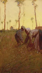 Hay Time (olej na plátně)
