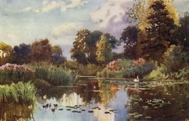 Jezero v botanické zahradě