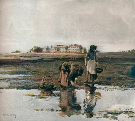 Sběr mušlí, c1908
