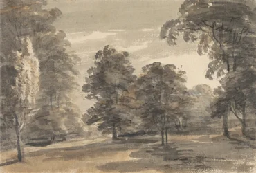 Glade in a Wood