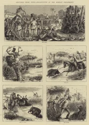 Sketches from India, Hog-Hunting in the Bombay Presidency (Lov prasat v Bombaji)