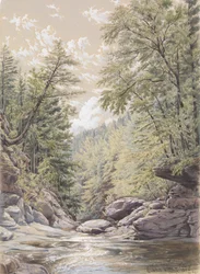 Catskill Clove v Palingsville, 1856.