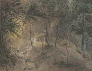 The View from the Springhouse at Echo, c.1808 (akvarel a inkoust na tkaném papíře)