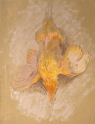 Study of a Fowl for Highland Raiders, kolem roku 1918 (olej na papíře)