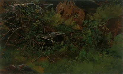 Studie z přírody.