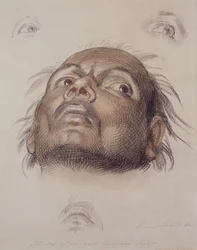 Studie hlavy východního Indiána, kolem roku 1875 (pastel a pero na papíře)
